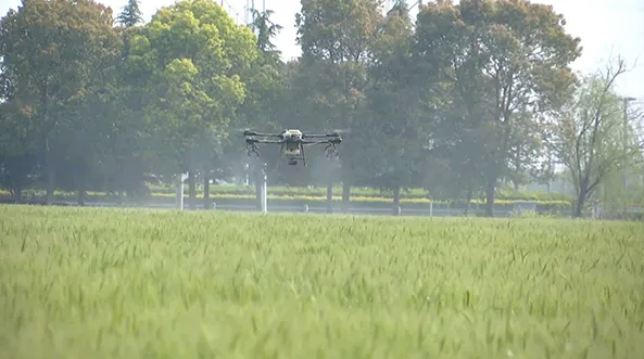 江蘇海門：打造數(shù)字化高標(biāo)準(zhǔn)農(nóng)田，為鄉(xiāng)村振興蓄勢(shì)賦能