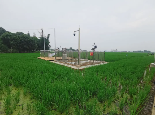 耕地質(zhì)量綜合監(jiān)測(cè)點(diǎn)，邛崍現(xiàn)代農(nóng)業(yè)的新探索和實(shí)踐