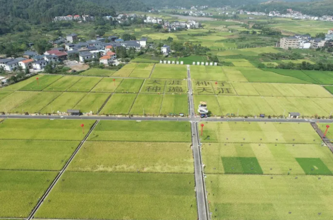 智慧種業(yè)案例 | 湘東：雜交水稻制種之鄉(xiāng)，數(shù)字技術(shù)成為制種新神器！