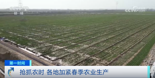 心系糧安、山田無阻、服務有恒|托普云農2025年智能裝備巡檢服務全面啟動