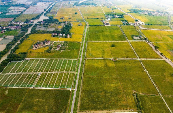 高標案例丨托普云農(nóng)助力善璉鎮(zhèn)農(nóng)田“數(shù)智”升級