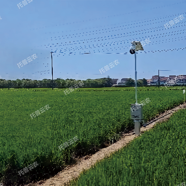 自動趕蛾智能統(tǒng)計桿