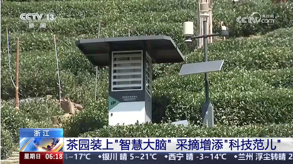 央視、人民網(wǎng)等權威媒體聚焦西湖龍井：托普云農(nóng)“黑科技”點亮千年茶香智變之路