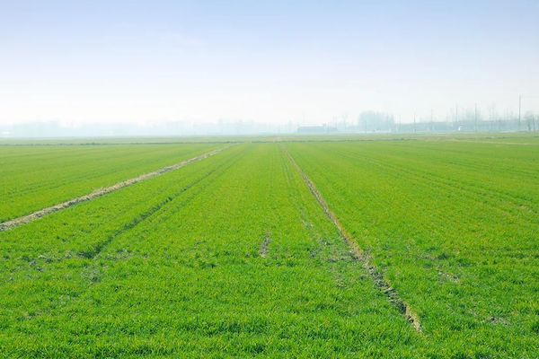 科技賦能春耕，托普云農(nóng)智慧農(nóng)情監(jiān)測站再獲央視關注