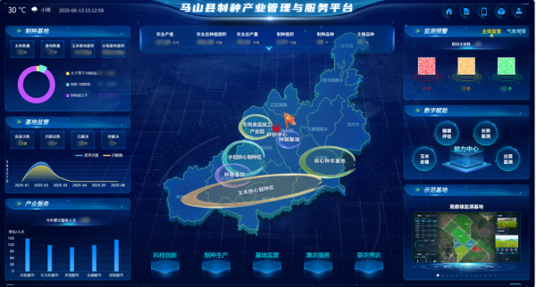 AI+農(nóng)業(yè) | 當(dāng)種子植入“數(shù)智芯片”，馬山縣打造制種基地新標(biāo)桿