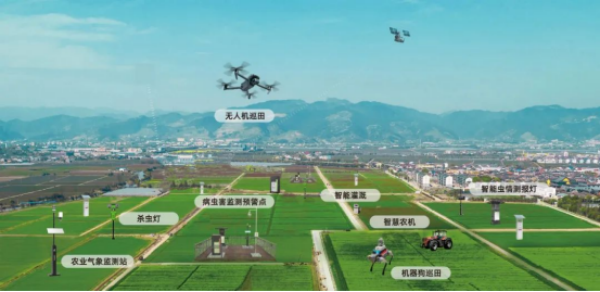 “AI+北斗+低空”糧油作物大面積單產提升解決方案