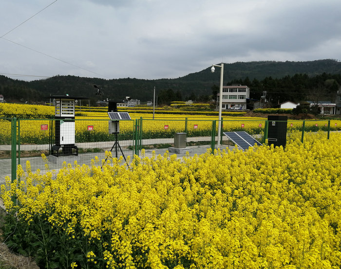 農業(yè)(農林)四情監(jiān)測系統(tǒng)