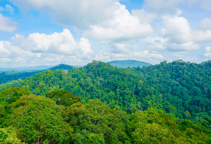 智慧森林防火監(jiān)測(cè)預(yù)警系統(tǒng)解決方案