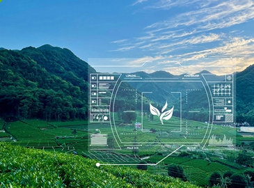 茶葉種植智能管理系統(tǒng)