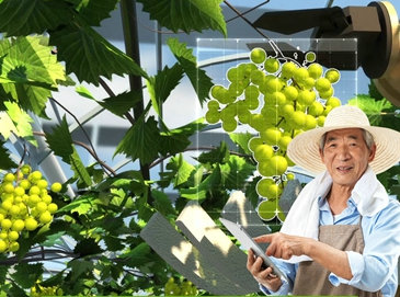 葡農(nóng)一鍵通